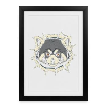 Mignon panda roux jetant un coup d’œil par la fissure - Affiche encadrée (27 × 37 cm) - noir - Devant