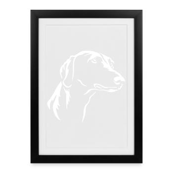 Azawakh Head "Black Edition" - Framed poster (27 × 37 cm) - black - Front