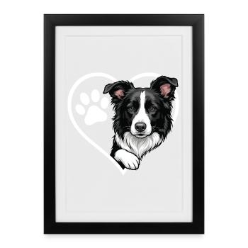 Border Collie Heart Sheepdog Dog Lover - Affiche encadrée (27 × 37 cm) - noir - Devant