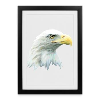 Eagle's Head, Bald Eagle, Eagle, Bird of Prey - Framed poster (27 × 37 cm) - black - Front