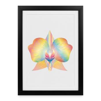 colorés abstraites orchidées fleurs - Affiche encadrée (27 × 37 cm) - noir - Devant