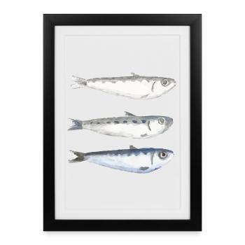 sardine - Affiche encadrée (27 × 37 cm) - noir - Devant