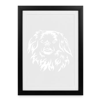 Tibetan Spaniel Head "BlackEdition" - Framed poster (27 × 37 cm) - black - Front