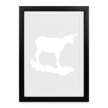 Chamois - Affiche encadrée (27 × 37 cm) - noir - Devant