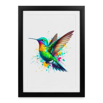 Colibri - Affiche encadrée (27 × 37 cm) - noir - Devant