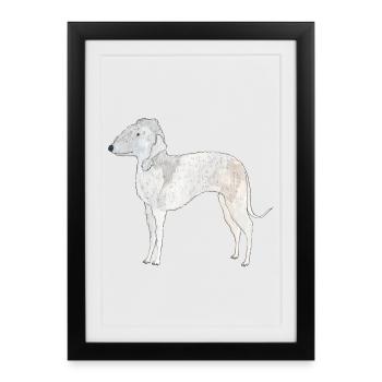 Bedlington Terrier - Affiche encadrée (27 × 37 cm) - noir - Devant