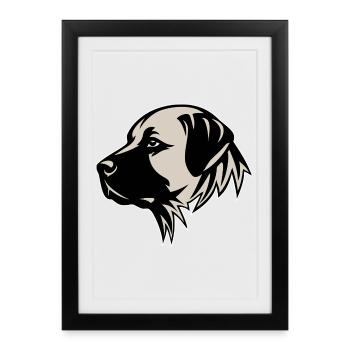 Chien de berger anatolien Kangal - Affiche encadrée (27 × 37 cm) - noir - Devant