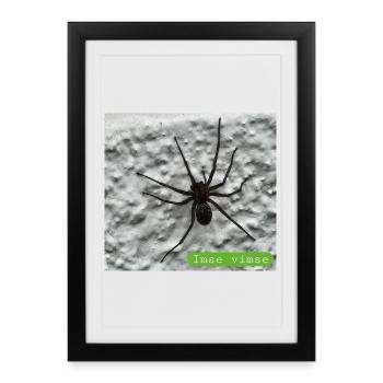 araignée - Affiche encadrée (27 × 37 cm) - noir - Devant