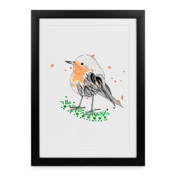 Rouge-gorge - Affiche encadrée (27 × 37 cm) - noir - Devant