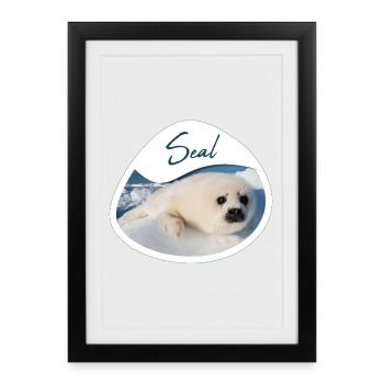 Phoque bébé phoque - Design - Affiche encadrée (27 × 37 cm) - noir - Devant