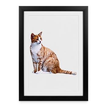 Cat Cats Cat Cats Cat Love - Framed poster (27 × 37 cm) - black - Front