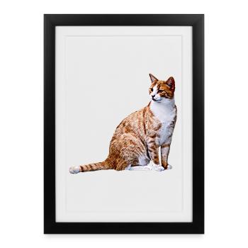 Chat chat chat Cat Cat - Affiche encadrée (27 × 37 cm) - noir - Devant