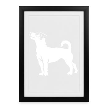 Jack Russell Terrier "Black Edition" - Framed poster (27 × 37 cm) - black - Front