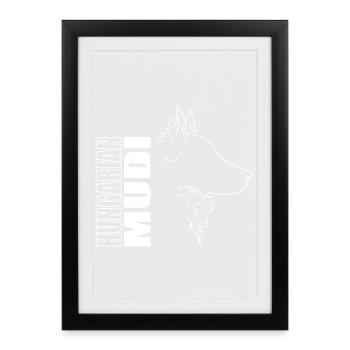 Hongrois Mudi Profil Chien Chien Wilsigns - Affiche encadrée (27 × 37 cm) - noir - Devant