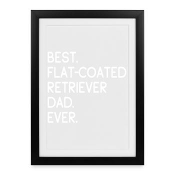 Flat-Coated Retriever - Framed poster (27 × 37 cm) - black - Front