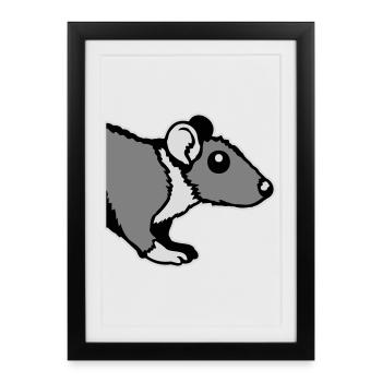 Rat avant Côté semi-curieux rongeur drôle - Affiche encadrée (27 × 37 cm) - noir - Devant