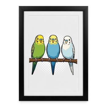 Propriétaires de perruches ondulées Propriétaires de perruches ondulées - Affiche encadrée (27 × 37 cm) - noir - Devant