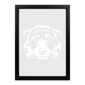 Jack Russell Terrier "Black Edition" - Framed poster (27 × 37 cm) - black - Front