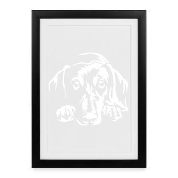 Teckel « Édition Noire » - Affiche encadrée (27 × 37 cm) - noir - Devant