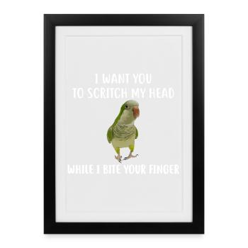 Parrot Head-Scratch Demands Tee - Framed poster (27 × 37 cm) - black - Front