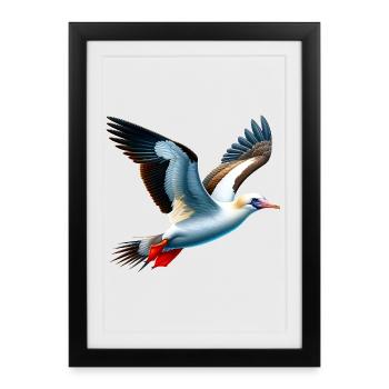 Cadeau des Nazca - Affiche encadrée (27 × 37 cm) - noir - Devant
