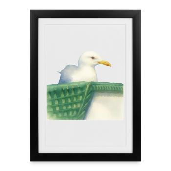 Mouette de la mer du Nord Oiseau Wadden. - Affiche encadrée (27 × 37 cm) - noir - Devant