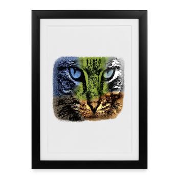 Œil de chat dans un jeu de couleurs - Affiche encadrée (27 × 37 cm) - noir - Devant