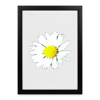 Flower - Daisy - Framed poster (27 × 37 cm) - black - Front