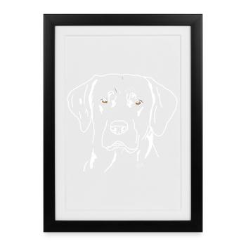 Labrador - Affiche encadrée (27 × 37 cm) - noir - Devant