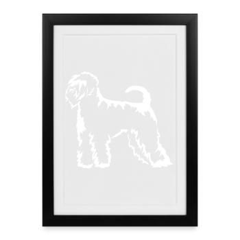 Irish Soft Coated Wheaten Terrier "Black Edition" - Framed poster (27 × 37 cm) - black - Front