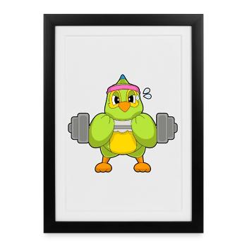 Parrot Bodybuilder Barbell Bodybuilding - Affiche encadrée (27 × 37 cm) - noir - Devant