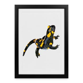 Feuersalamander - Gerahmtes Poster (27 × 37 cm) - Schwarz - Vorne