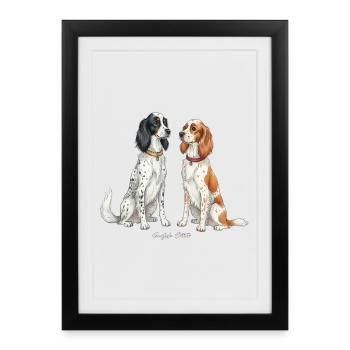 Illustration du setter anglais - Affiche encadrée (27 × 37 cm) - noir - Devant
