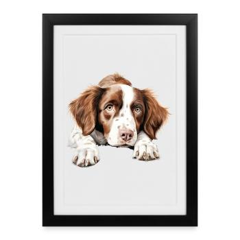 Brittany Dog - Framed poster (27 × 37 cm) - black - Front