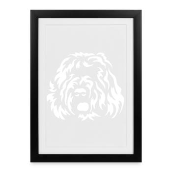 Bouvier de Flandre Head « Black Edition » - Affiche encadrée (27 × 37 cm) - noir - Devant