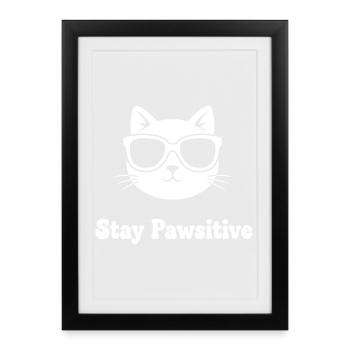 Lunettes de soleil Stay Pawsitive Cat - Affiche encadrée (27 × 37 cm) - noir - Devant