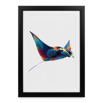 Manta Ray, Devil Ray, Stingray, Diver - Framed poster (27 × 37 cm) - black - Front