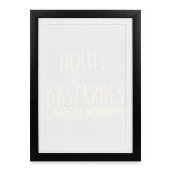 Nolite Te Bastardes Carborundorum - Framed poster (27 × 37 cm) - black - Front