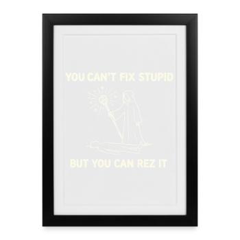 Tu ne peux pas réparer la stupidité – Conception de guérisseur de magicien - Affiche encadrée (27 × 37 cm) - noir - Devant