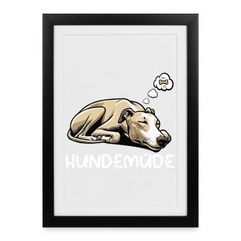 Hundemüde Whippet Windhund Whippets Whippethalter - Gerahmtes Poster (27 × 37 cm) - Schwarz - Vorne