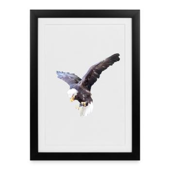 L’aigle en piqué - Affiche encadrée (27 × 37 cm) - noir - Devant