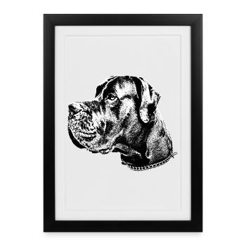 Dogge chien tête de chien bouledogue race de chien - Affiche encadrée (27 × 37 cm) - noir - Devant