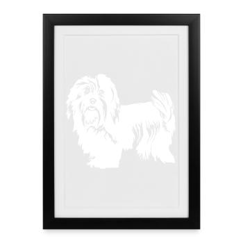Havanais « Black Edition » - Affiche encadrée (27 × 37 cm) - noir - Devant