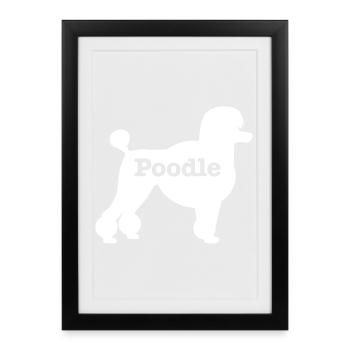 Caniche - Affiche encadrée (27 × 37 cm) - noir - Devant