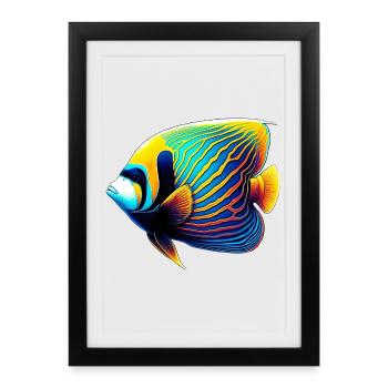 Poisson ange empereur - Affiche encadrée (27 × 37 cm) - noir - Devant