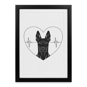 Doberman dans le cœur avec battement de cœur - Affiche encadrée (27 × 37 cm) - noir - Devant
