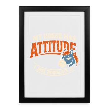 Horse Mood Humor Experienced Horse Owner - Framed poster (27 × 37 cm) - black - Front