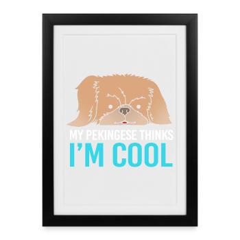 Pekingese Peningese - Framed poster (27 × 37 cm) - black - Front