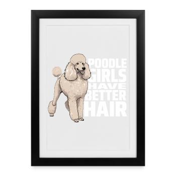 Les filles caniche ont un meilleur poil Caniche - Affiche encadrée (27 × 37 cm) - noir - Devant