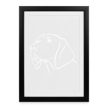 Weimaraner - Affiche encadrée (27 × 37 cm) - noir - Devant